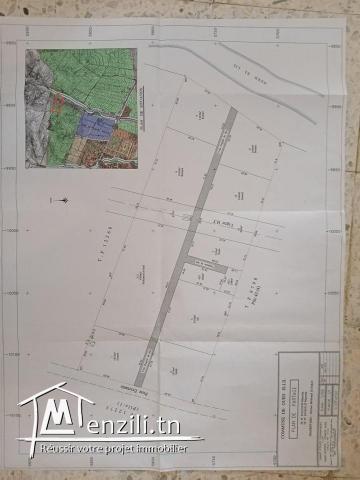 أرض للبيع Terrain à vendre (oued Ellil )