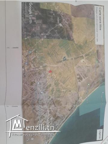 Terrains habitation zone d'Avenir