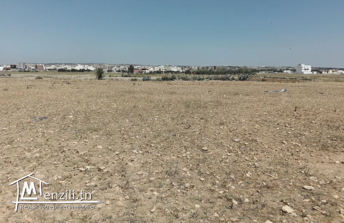 opportunité à benikiar