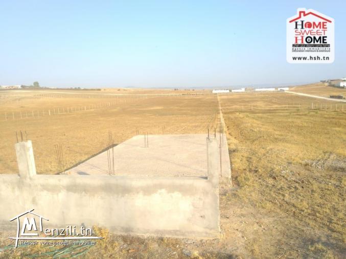 Terrain Agricole Rawiya à Vendre à Borj Amri