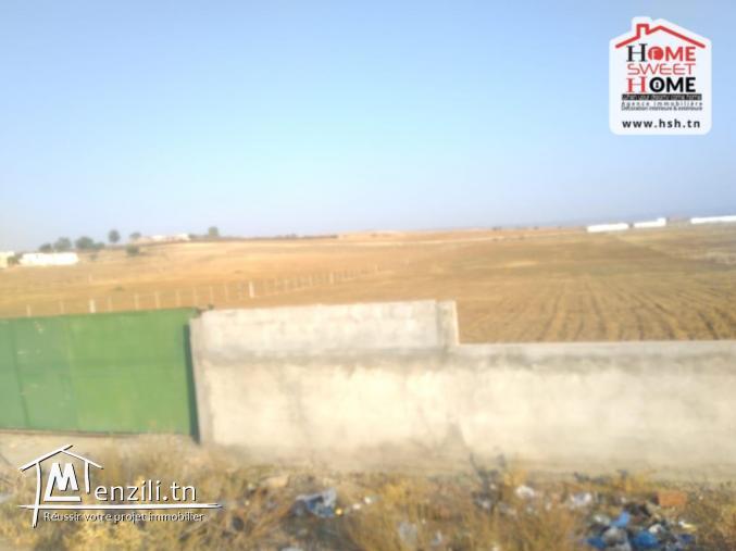 Terrain Agricole Rawiya à Vendre à Borj Amri