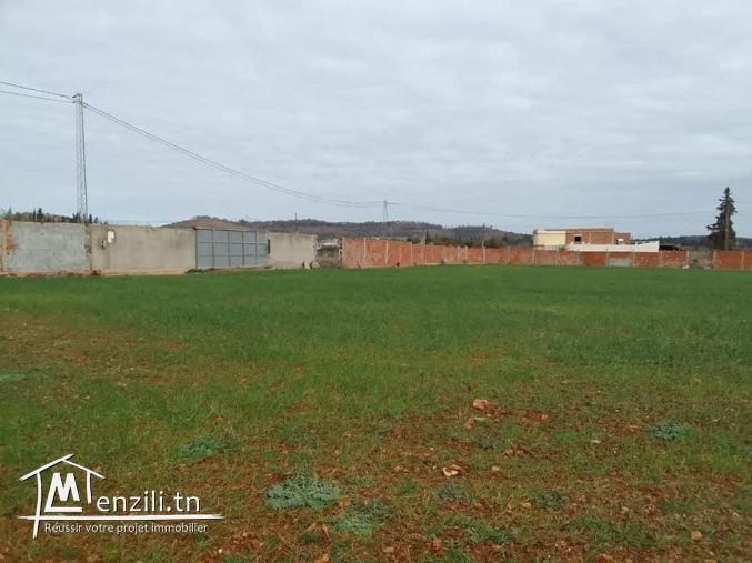 lotissement, Terrains de 500 m?tres carr?  a vendre a cot? d'?cole primaire Dhniba