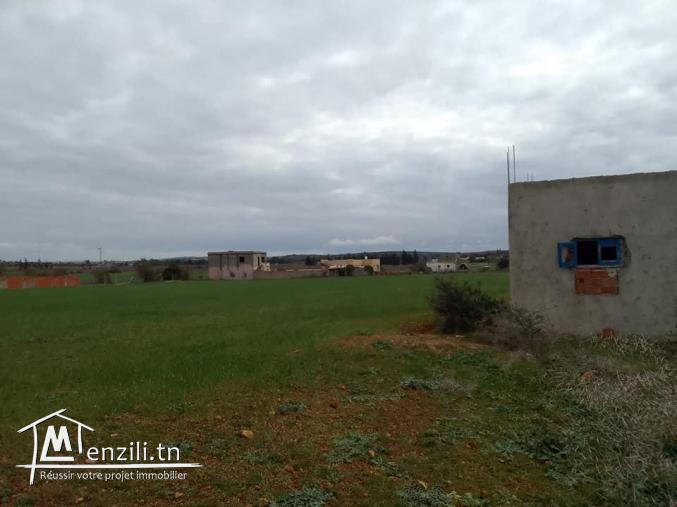 lotissement, Terrains de 500 m?tres carr?  a vendre a cot? d'?cole primaire Dhniba