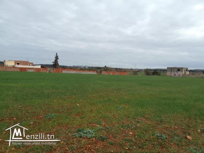 lotissement, Terrains de 500 m?tres carr?  a vendre a cot? d'?cole primaire Dhniba