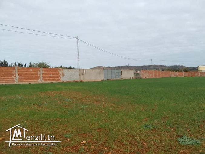 lotissement, Terrains de 500 m?tres carr?  a vendre a cot? d'?cole primaire Dhniba