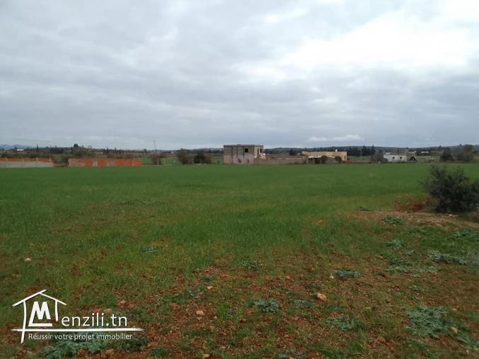 lotissement, Terrains de 500 m?tres carr?  a vendre a cot? d'?cole primaire Dhniba