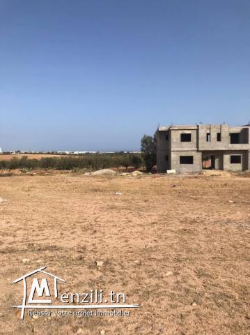 T191 Terrain FLORA HAMMAMET SUD