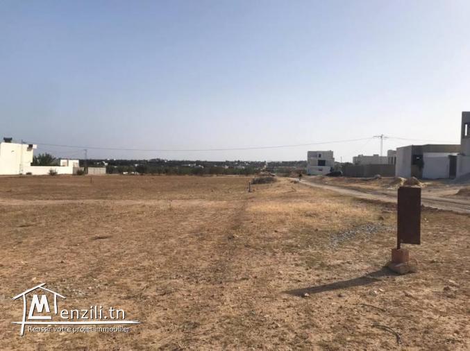 T191 Terrain FLORA HAMMAMET SUD