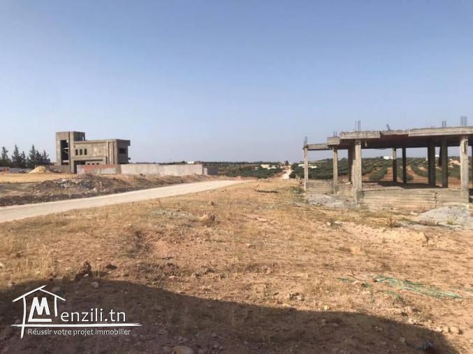 T191 Terrain FLORA HAMMAMET SUD