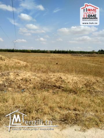 Terrain Agricole Ksenia à Vendre à Cherfech 1