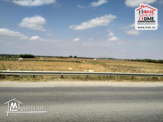 Terrain Agricole Ksenia à Vendre à Cherfech 1