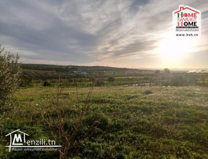 Terrain Villa Nassim à Vendre à Essaida Manouba