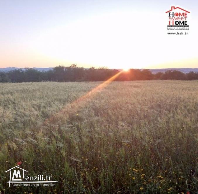 Terrain Villa Nassim à Vendre à Essaida Manouba