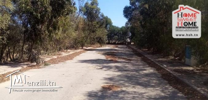 Terrain Villa Galea à Vendre à Raoued Plage