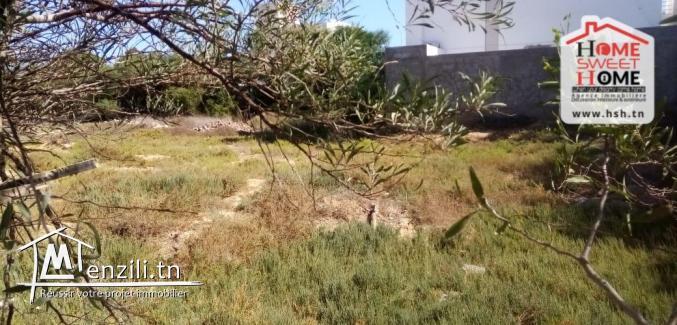 Terrain Villa Greta à Vendre à Raoued Plage