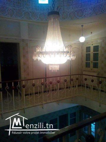 Grande Villa à vendre