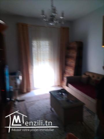 A vendre appartement à hammam lif