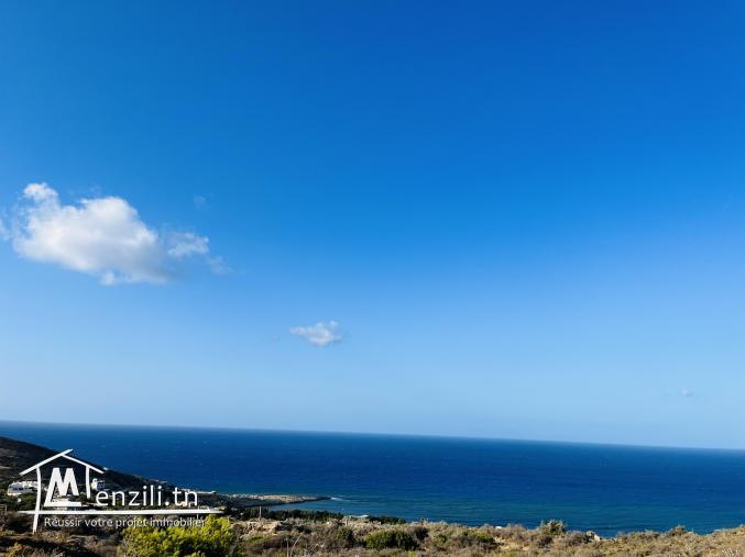 Terrain constructible titre bleu Raf Raf vue sur le rocher /sur mer