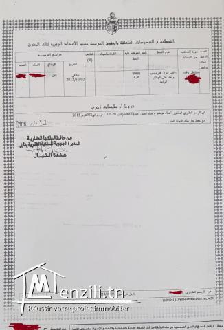 Terrain d’un hectare à Hammamet sud : Investissement à court terme/bâtir une maison.