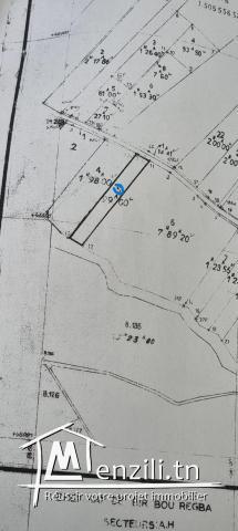 Terrain d’un hectare à Hammamet sud : Investissement à court terme/bâtir une maison.
