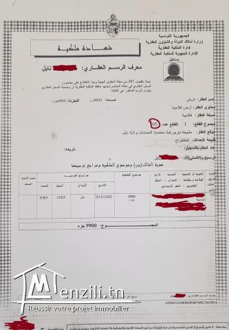 Terrain d’un hectare à Hammamet sud : Investissement à court terme/bâtir une maison.