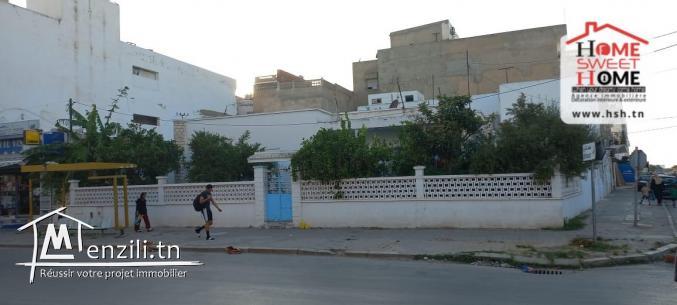 Terrain Promoteur  Katiane à Vendre à Kheireddine