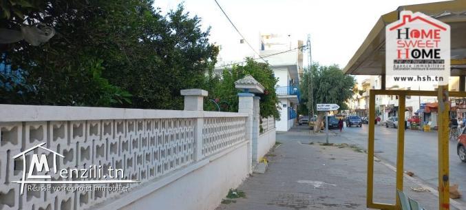 Terrain Promoteur  Katiane à Vendre à Kheireddine