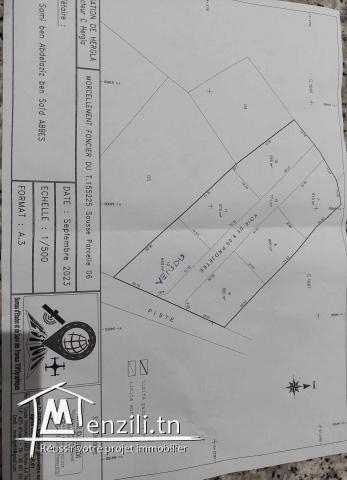 Lotissement zone urbaine Hergla