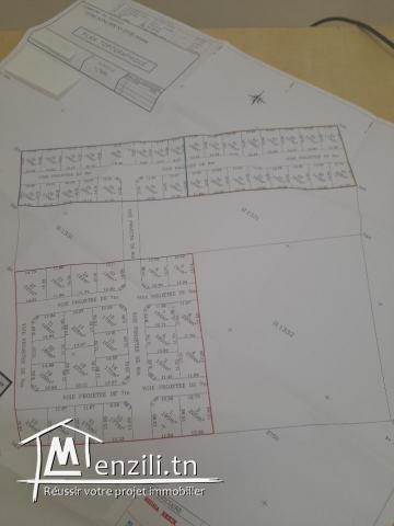 Terrains habitation zone d'Avenir