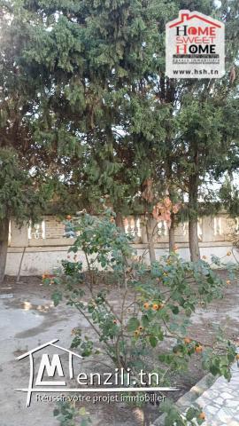 Terrain Frida À Vendre À Carthage Byrsa