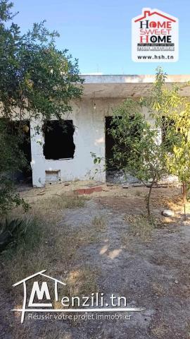 Terrain Frida À Vendre À Carthage Byrsa