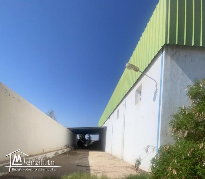 Entrepôt frigorifique dans un terrain agricole