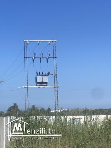 Entrepôt frigorifique dans un terrain agricole