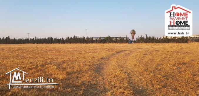 Ferme Safia à Vendre à Kef