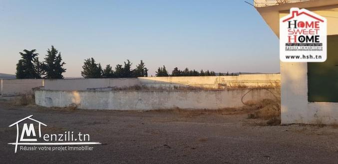 Ferme Safia à Vendre à Kef