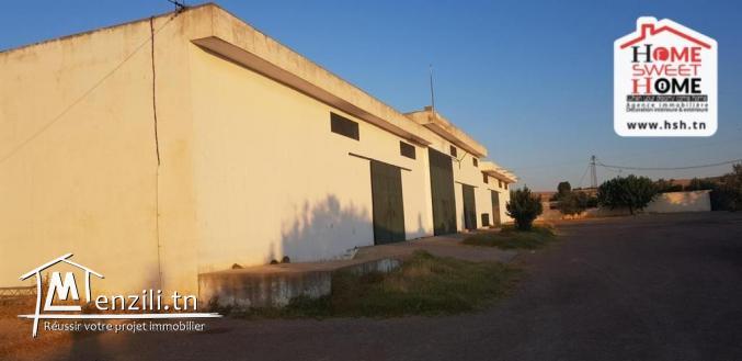 Ferme Safia à Vendre à Kef