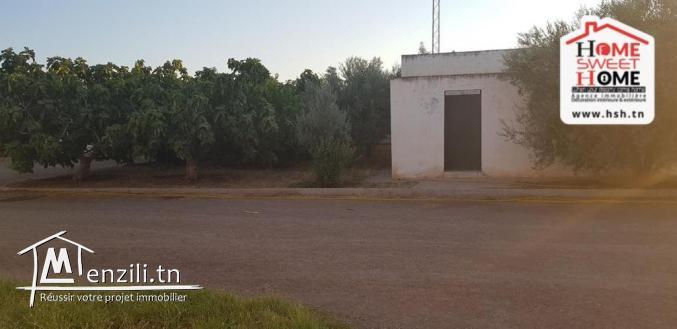 Ferme Safia à Vendre à Kef
