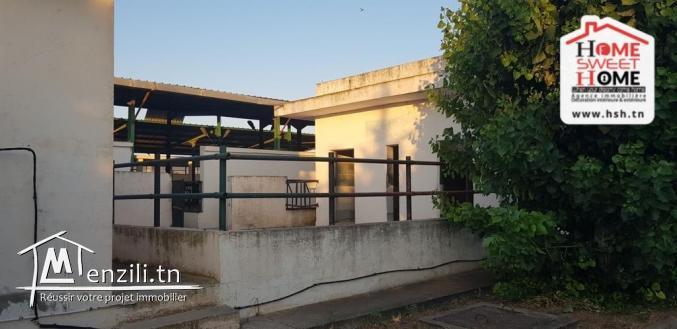 Ferme Safia à Vendre à Kef