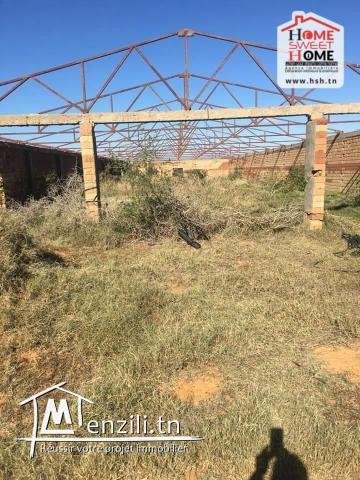 Terrain Agricole à Vendre à Siliana