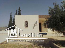 Maison nouvelle sur terrain de 1000m2