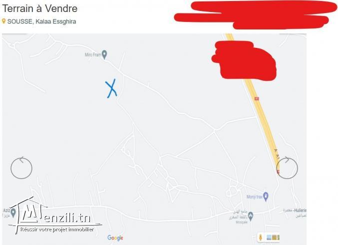 للبيع ارض مشجرة زيتون بالقلعة الصغرى