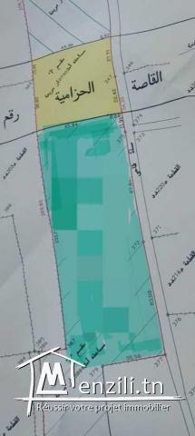 Terrain à vendre pour investissement