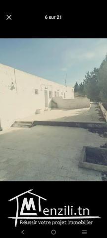 Ferme mornaguia /22920475