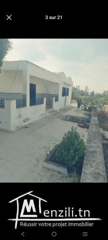 Ferme mornaguia /22920475