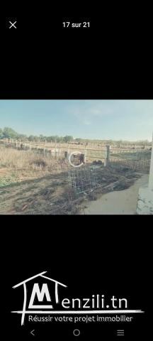 Ferme mornaguia /22920475