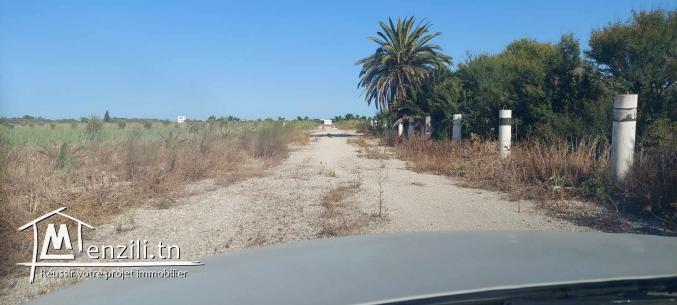 8 titres de 1 hectare sur route principale Utique