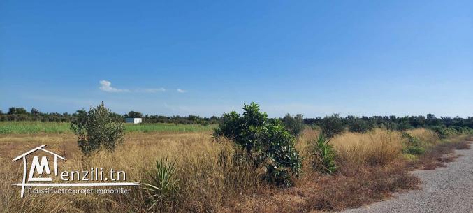 8 titres de 1 hectare sur route principale Utique