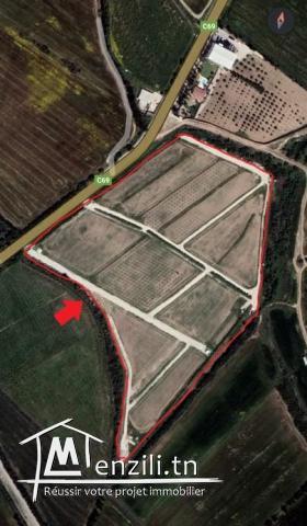 8 titres de 1 hectare sur route principale Utique