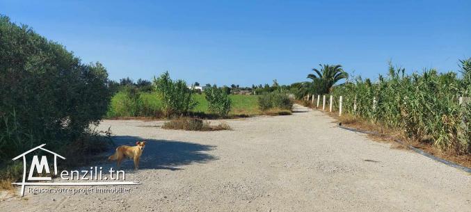 8 titres de 1 hectare sur route principale Utique