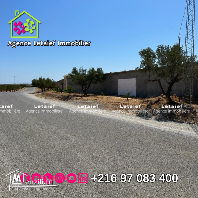 un lot de terrain clôturé de 5000m² àHergla Sidi Bouali